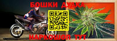 прущие грибы Партизанск