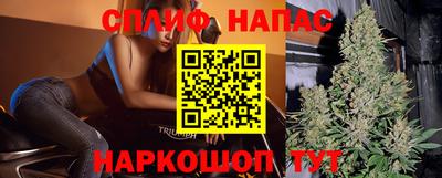 прущие грибы Пенза