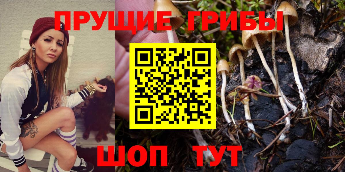 где продают   Псилоцибиновые грибы Magic Shrooms  Вход с VPN  Рыбинск 